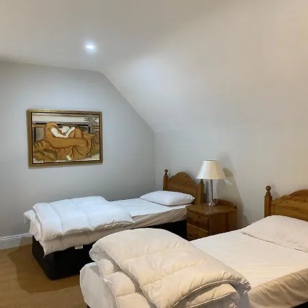 Bracken Ferns * Killarney