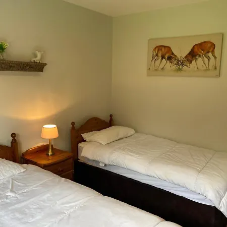 Hébergement de vacances Bracken Ferns *